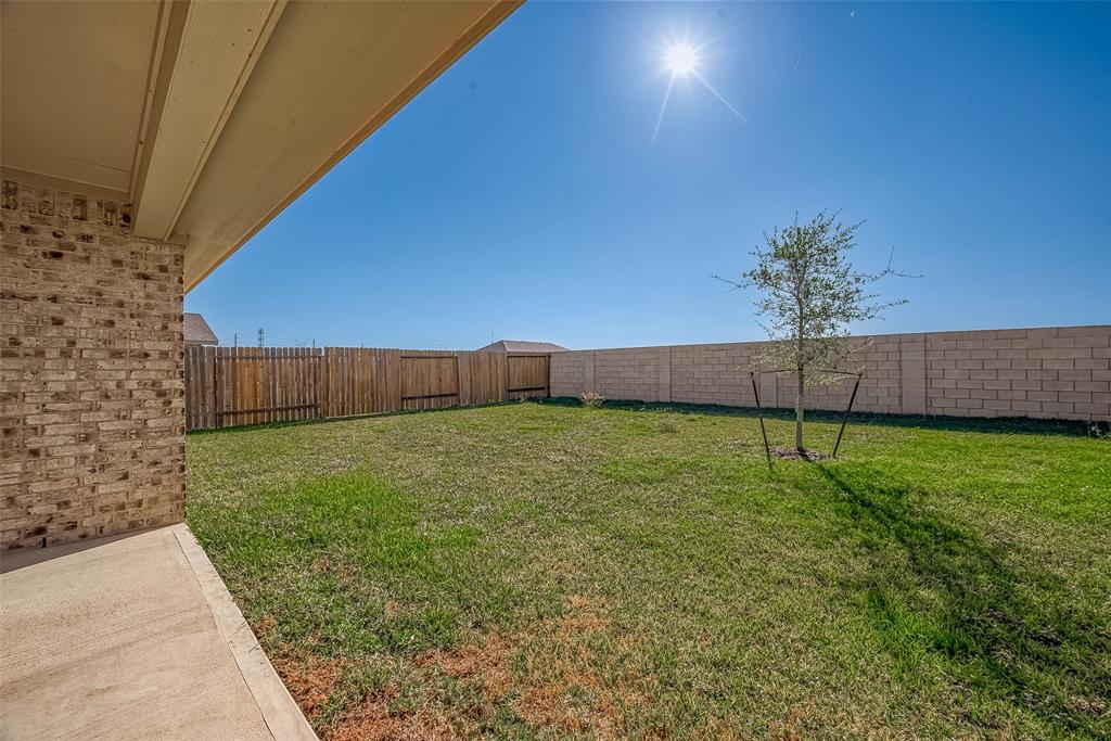 Backyard with room for family fun!