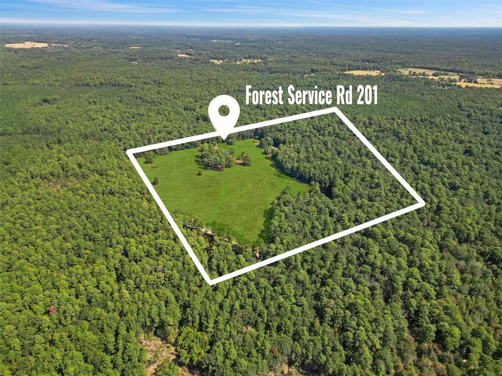 Are you in search of a tranquil haven away from the hustle and bustle of everyday life? Look no further. Nestled in the Sam Houston National Forest - this exceptional piece of land is a rare opportunity!
Key Features:
Exclusivity: Privately held and surrounded by the breathtaking landscapes of the Sam Houston National Forest
Hunter's Paradise: For those who cherish the thrill of the hunt, this property is a haven waiting to be explored.
Stocked Fish Pond: Imagine spending leisurely afternoons by your very own stocked fish pond
Cabin Potential: Features great elevation for potential homesite.  A rustic cabin shell graces this property, offering the canvas for your dream hideaway. Great timber/investment tract.
Water Well: Water well located right on the property. 
Whether you're seeking a peaceful retreat, an opportunity for outdoor exploration, or the chance to create your own peaceful haven, this property offers a unique canvas for your dreams.