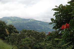 1 CONDOMINIO BOSQUES DEL CAFE Mtns, Costa Rica