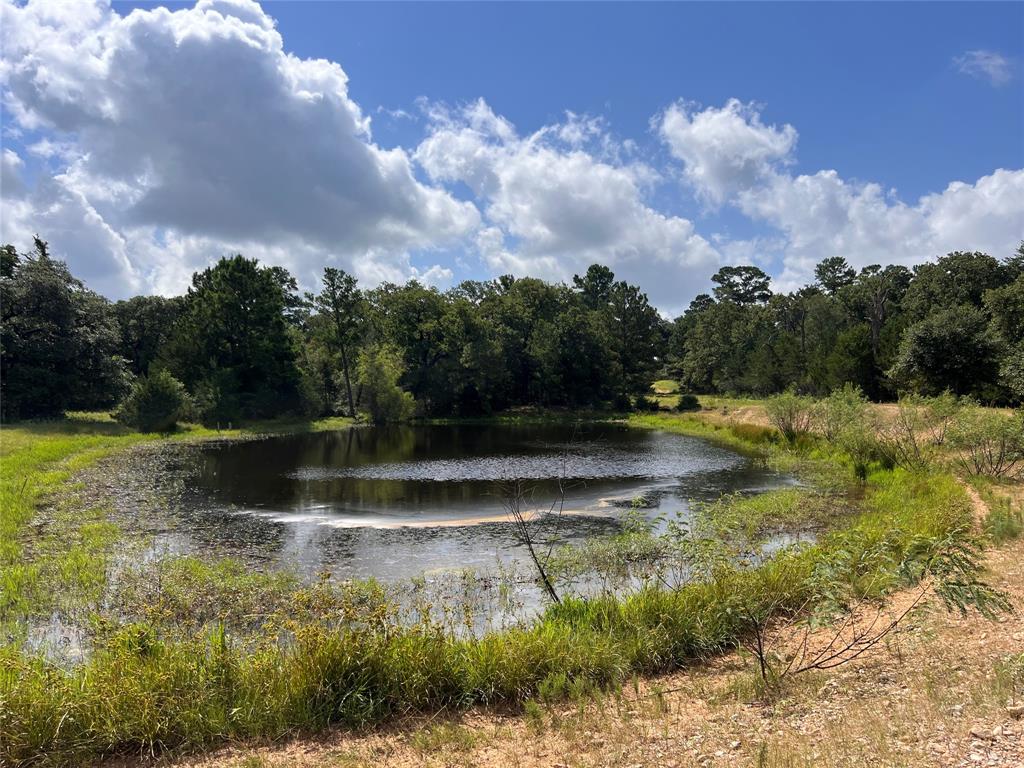 Gorgeous, secluded property located on a private road in the most desirable area of Colorado County 1 hour From Houston. Hundreds of mature oak trees line the landscape of the big pasture along with a mixture of heavily wooded native vegetation. One mile of high fence and gravel road on the West side of property, North back fence is high fenced, South side is barbed-wire. There are two easements onto the property, a southeast gate and a west side gate. Front 58 acre pasture consists of 75 percent wooded area with a 4-5 acre trap/corral. Back 50 acres consists of 30 cleared with an impressive gorgeous mature oak tree and 20 acres wooded with drainage culverts and Brushy creek running through section. Beautiful spring feed ponds on the land with big bass and have never been dry per seller/additional pond in the front part of BP. The wildlife consists of white tail deer, dove, fox, bobcats, hogs, exotics and other local wildlife. Blinds, feeders, Ag exemptions/ MLD, Non Flood area zone X.