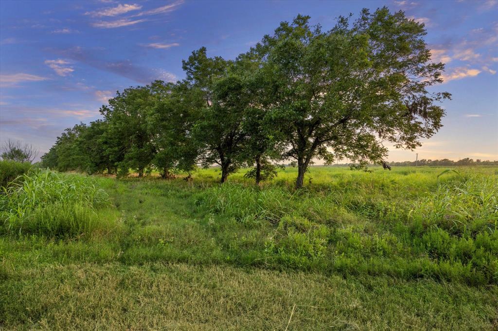 This Amazing Country property is perfect for a Dream Home, Horses, Ranchettes, Farming and Livestock.  This hard to find small-acreage land consists of 17.98 acres and is Ag-Exempt. If you love to Hunt and enjoy nature, this could be the perfect property for you. It has improved pastures for Hay and scattered trees with a line of Mature Pecan Trees on one side. Located minutes from town and less than 30 minutes from Katy, this Corner property has road frontage on Remmert Road and also Peters San Felipe Road.  Slight restrictions with no mobile homes.  This property is a hidden gem!!! So Much Potential!!!!