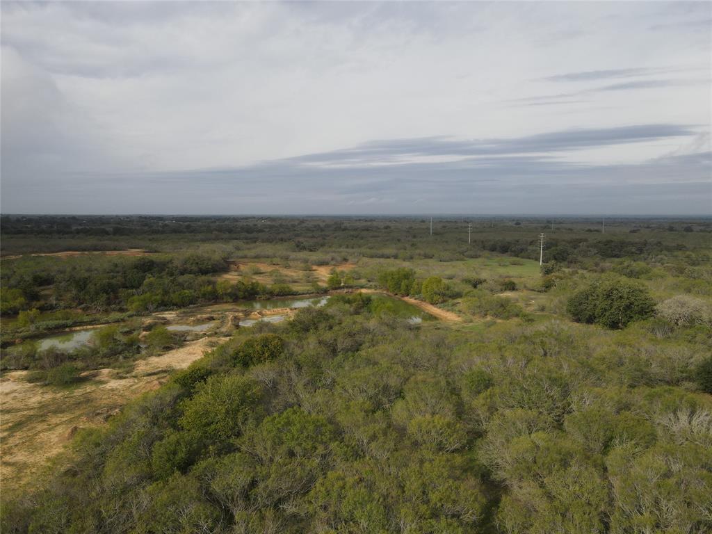 50 beautiful acres nestled at one of the highest points between San Antonio and Houston!  This is country living at its finest.  There is road access from FM 1117 and approximately 781 feet of frontage along FM 1117 per a 2023 survey that can be used by the Buyer.  This would be an excellent spot to build your dream home or possibly even subdivide into smaller lots.  There is a small pond on site as well!  Come check this one out today!