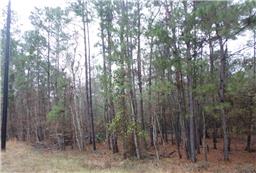 Houston Home at 10102 Woodlane Magnolia , TX , 77354 For Sale Houston Home at 10102 Woodlane Magnolia , TX , 77354 For Sale