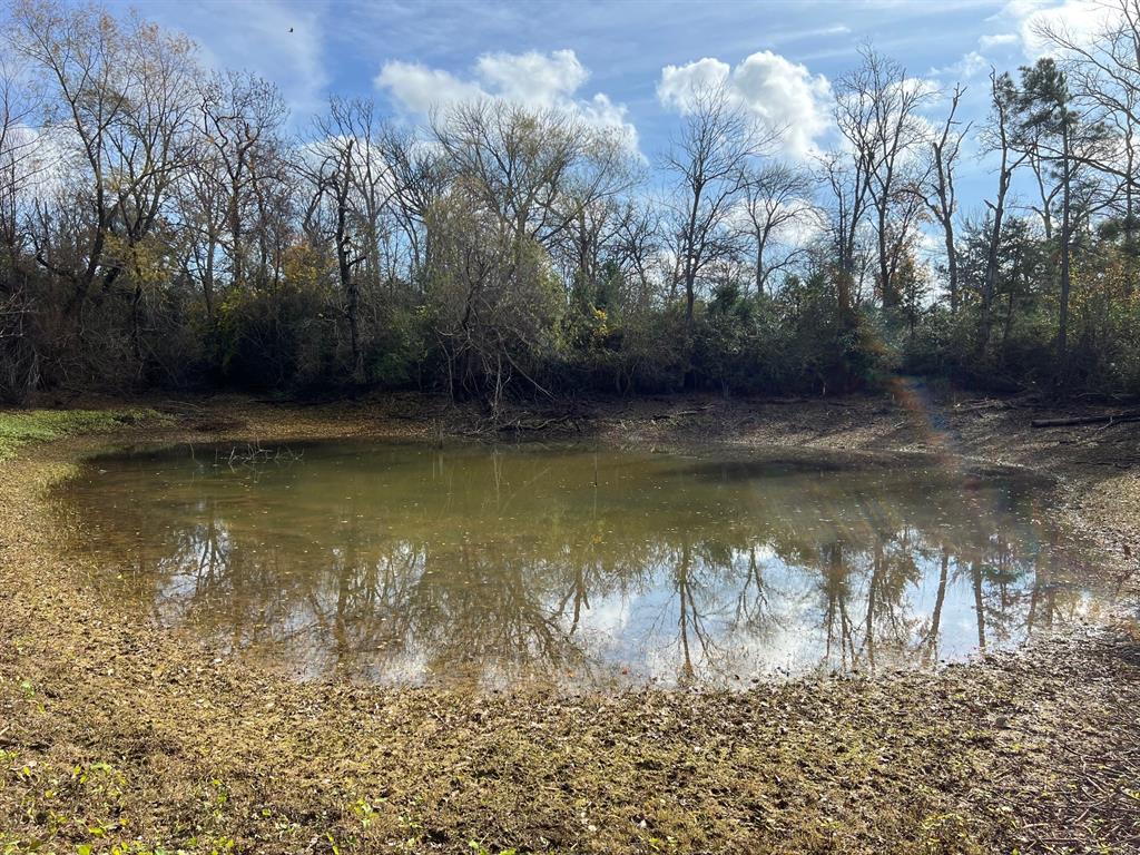 4.45 acres west of Centerville.  Great location just off of Highway 7 on CR 348.  Thre is an old, run down house on the property that is being sold as is.  There is a pond on the property and scattered woods.