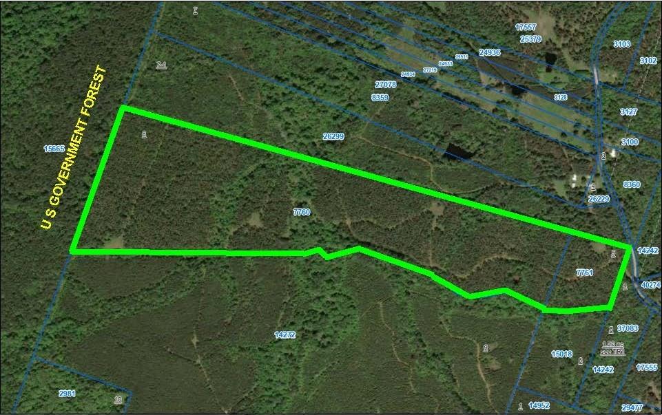 This beautiful pine plantation spans approximately 122.21 acres and offers several potential homesites. It borders the National Forest, making it an excellent location for deer hunting. The property was planted in the early 2000s and has been thinned twice. It features rolling terrain, with about 90% covered in pine trees, and hardwood trees along the creek that runs through the land. Established roads provide access throughout the property so call us to see this property today.