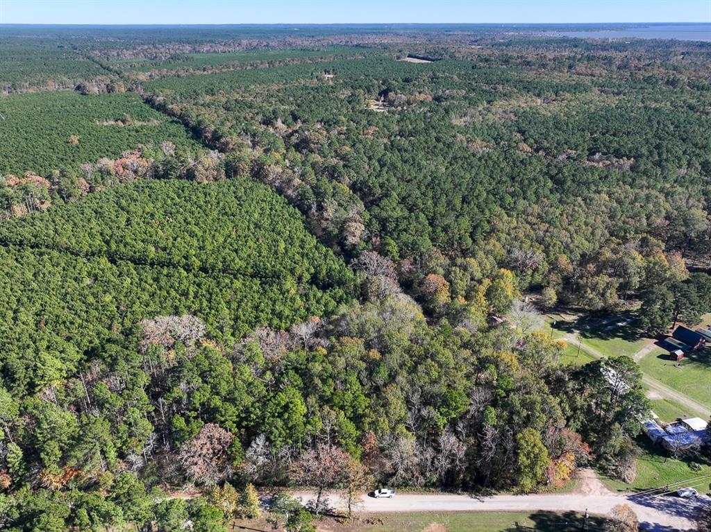 This 125-acre property is located on Camp Branch Road in Trinity County, Texas. This gently rolling, densely forested tract offers a serene environment, ideal for recreational activities, timber investment, or establishing a leisure ranch. The absence of known restrictions provides flexibility for various land uses, including hunting and horseback riding.
Key Features:
Location: Accessible via Camp Branch Road, approximately 7 miles north of Highway 190 on FM 356.
Terrain: Gently rolling landscape with dense forestation.
Utilities: Electricity available by extension; public water supply accessible.
School District: Groveton ISD
Access: The property fronts Camp Branch Road, ensuring convenient access.
Land Use: Suitable for residential, hunting, recreation, timber, and other uses.
Utilities Providers: Trinity Rural Water Supply and Sam Houston Electric Cooperative.
Tax Exemptions: Benefits from a timber exemption, resulting in approximately $5 per acre per year in taxes.