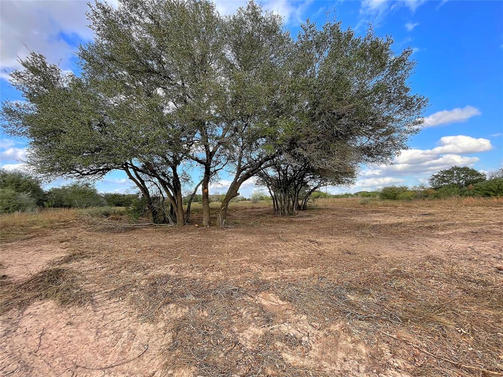 This exceptional +/-10.50 acre property offers a rare combination of features ideal for residential, commercial, or agricultural/wildlife development. Located in the heart of Colorado County, the land is characterized by fine sandy loam soil and level terrain, providing a perfect foundation for a variety of uses. Excellent paved road frontage along two sides, including direct access to a highway. Electricity is readily available. The property is covered in native pasture with scattered live oak trees. No FEMA floodplain. An adjoining +/-17.50 acres with seasonal creek is available. This is a rare opportunity to own a versatile parcel in a growing area offering a peaceful rural setting with easy access to major highways and nearby amenities. Whether you’re looking to develop a homesite, start a business, or establish an agricultural/wildlife operation, this property offers the perfect canvas to bring your vision to life.