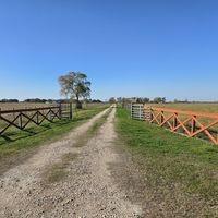 Beautiful country land located outside of quaint Needville Texas. This total parcel of land has been subdivided into two sections. The parcel that is for sale at the present time is 19.94 acres. Most of the land is for grazing. The other parcel that has similar land size has a barndominium situated on 43,560 square feet (1 acre) of land and has approximately 1,396 square foot of living space. The seller would consider the sale of both parcels. Call listing agent for more details. A prime opportunity for agricultural development or your own country retreat conveniently located off paved county road.  Fully fenced on three sides, the land features a small pond at the back. The center of the property is divided with cross fencing, complete with a gate to separate the front and back sections for added convenience and flexibility. Currently under an Ag exemption for cattle grazing, the property offers flat and level terrain, with a few scattered trees adding character and shade.