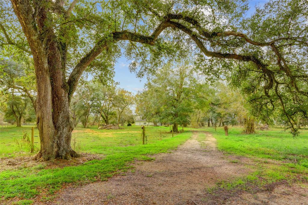 Just over an hour from Houston, this 37.9-acre farm offers endless possibilities. The charming 2-bedroom, 1.5-bath farmhouse with 11 foot ceilings is perfect as a full-time residence or a peaceful weekend retreat. Currently home to cattle, the property is also ideal for horses, chickens, or other livestock. A large lake, ready for restoration, could become a stunning centerpiece. Majestic trees dot the landscape, and open pastures provide ample grazing space. Enjoy serene views from the screened-in covered porch overlooking the property. This uniquely beautiful property is fully fenced, cross-fenced, Ag exempt and can be subdivided. Don’t miss your opportunity to embrace country living with nearby city conveniences.