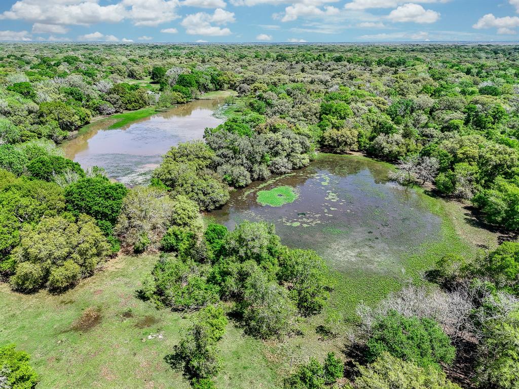 Approximately 223.01 acres, fantastic for hunting or ranch/residential use.  Heavily wooded and level terrain, the unrestricted acreage is partially fenced.  Acreage includes two year-round ponds, as well as two seasonal ponds for fishing and fowl. There is access for electric, and electric power lines cross the property. Presently has Ag Exemption. Additional adjacent tracts of approximately 105 acres are also available. 

The property is approximately 55 miles from Houston, 12 miles west of Garwood and 10 miles south of Sheridan.

See attached survey. This parcel is marked "Section 5."