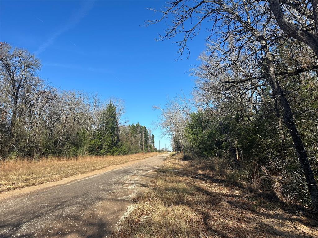 Buffalo 12+/-AC located East of town just off HWY 79. This property has community water and electric available with blacktop road frontage making it great for a future homestead.