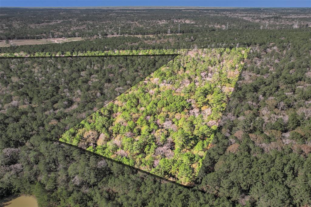 This prime 10+ acre tract of land will be fenced on 3 sides and is located in the rapidly growing South Grimes County offers incredible potential for a variety of uses. Need more acreage? Seller is willing to add more! With easy access to the Aggieland Parkway, Navasota, and Houston, the property is perfectly situated for convenient travel to key locations. Enjoy the tranquility of country living while still being within reach of urban amenities. Electricity is readily available nearby, making it an ideal spot to build your dream home. Best of all, the property is unrestricted, giving you the flexibility to use the land as you see fit. Don’t miss this opportunity to invest in a piece of Texas with endless possibilities!