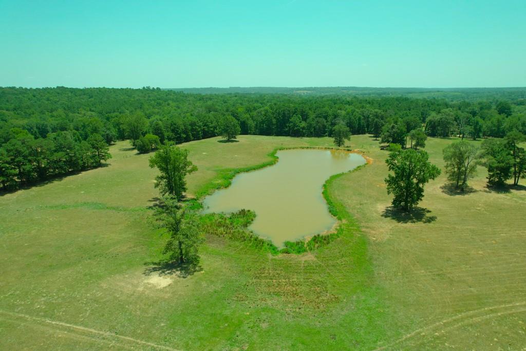 Welcome to your dream property in Anderson County, TX, where the possibilities are limitless with this magnificent piece of Texas real estate. This 56.30-acre tract is the first property to be sold off the area’s historical 7-7 Ranch. Whether you envision creating your own ranching paradise, establishing a peaceful retreat, or developing a charming homestead – this property has the space, ambience, and flexibility to fulfill your dreams. If it's that perfect homestead you are searching for, this property has multiple homesites. The area is noted for an abundance of wildlife and this property has a perfect spot for deer hunting. This tract is complete with beautiful large shade trees, one lake and one pond to water livestock or stock for fishing. The property is fenced and cross-fenced, with sorting pens near the front of the property. A very unique feature is that is property has 1,200' of road frontage on FM 323 and 2,000' on ACR 1224. Spectrum Fiber Internet Available!