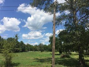 Your chance to own acreage in the Surfside Area.  Perfect recreational, hunting, or park an RV or mobile home.  Great access to nearby fishing!  Listing is part of a multi-listing package with land, lot, and acreage listings.  Ask agent for the complete list.  Buyer to purchase a new survey.  Landlocked.  Cleared pasture land