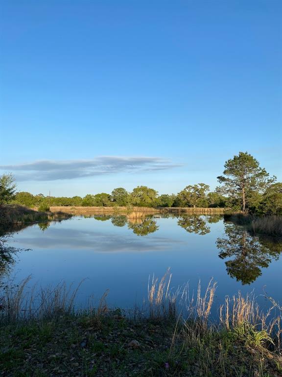 This 20-acre property features gently sloping hills, mature live oaks, and a picturesque "wet weather" creek along the back boundary. Enjoy stunning panoramic views and a stocked fishing pond with Bass, Catfish, and Bluegill.
The 2,926 sq ft metal barn includes electricity, washer/dryer connections, a 200-amp electrical upgrade, and attached cattle pens and corrals. A reliable water well, a new septic system, and hookups for up to 3 RVs enhance the property's functionality. The land holds an active "bee" agricultural valuation for tax benefits.
A large metal RV awning with a wooden porch offers a comfortable outdoor space. The property is partially fenced, cleared, and lined with mature live oaks, perfect for outdoor activities, livestock, or wildlife observation. Just an hour from Houston, this property balances rural tranquility with city convenience. RV and Tractor available as well!