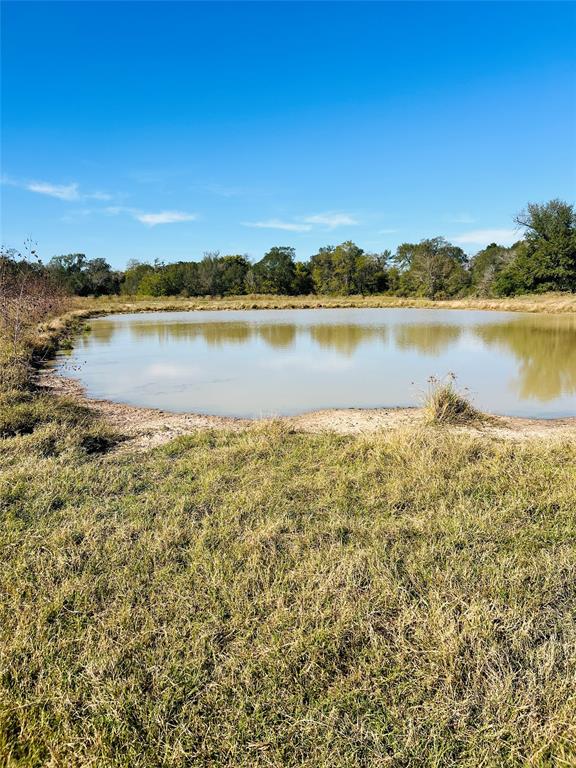 Great homesite in the desirable Lovelady School District. With 2 ponds, and plenty of space this place is a must see.