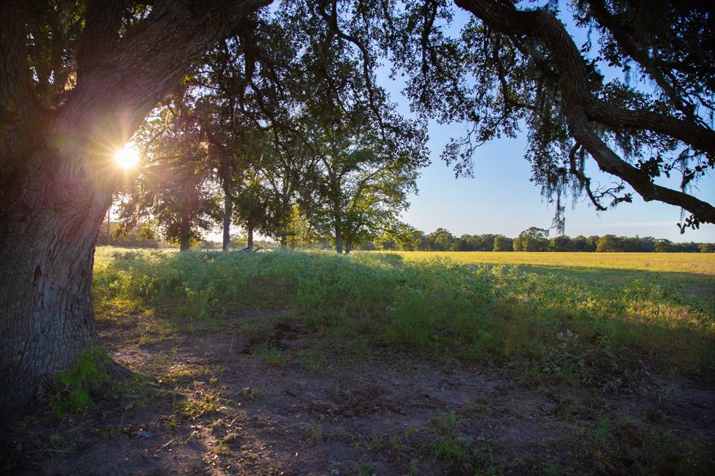 Golden Oak Ranch offers country living with a unique blend of rural tranquility and urban accessibility. This 10 acre tract would make a fabulous homesite or weekend recreational property.  Enjoy the peace of mind that comes with paved road frontage, electricity available at the road, and low Ag-Exempt Taxes. Conveniently located just 40 minutes from Katy, 1 hour from downtown Austin, and within easy reach of charming local towns like Columbus, Fayetteville and Round Top. Light restrictions in place to protect your investment.