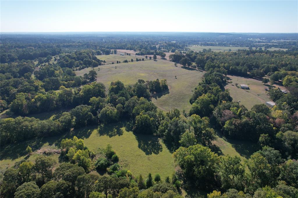 BEAUTIFUL ROLLING HILLS IN A GREAT LOCATION! Just a few minutes from the Loop in Crockett, you will be amazed with this 104+acre property! With over 2,350 feet of road frontage and rolling pastureland, this is the perfect property for your future forever home. This tract of land is complete with three small ponds – one stocked with catfish, and a live water source running East to West through the entire property. There are three mobile homes on the property, two of which are two bedrooms and one bath and a three bedroom, two bath. One is currently rented and obtaining monthly rent. Also included on the property is a large 50’x40’ barn hay barn and a 46’x46’ corral. There is lots of hardwood on this tract of land making great cover for the large Houston County deer. If you are looking for a property that has it all, look no further. Give us a call today!