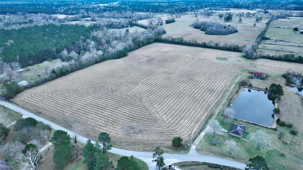 20+/- acres located in Tarkington ISD. This property is already cleared with established grass ready for you to bring your farm animals and to build your dream home.