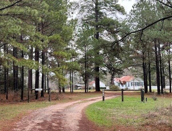 Located just outside the city limits of Conroe, this 48.5+/- acre undeveloped and unrestricted property offers the ideal combination of privacy and accessibility, sitting only 1 mile from Willis High School and minutes from Highway 45. Whether you're seeking a peaceful retreat or a place for development, this property provides a rare opportunity to enjoy both serene countryside living and proximity to all the conveniences of town.

As you drive down the end of the road, you'll be greeted by a natural landscape that includes a beautifully restored 1920's home that seamlessly blends the character of its original craftsmanship with high-end upgrades all throughout, a natural scenic creek, a stocked pond perfect for fishing or kayaking, and a beautiful mix of oak trees and pines. The land is teeming with wildlife, making it an exceptional choice for those who appreciate nature or are looking for a private estate, corporate retreat or recreational facility.