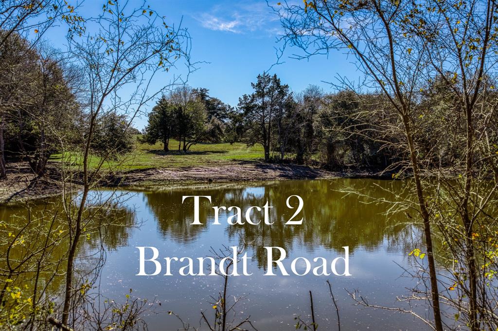 This stunning ~20-acre property at the corner of FM 389 and Brandt Road offers endless possibilities! With over 40 feet of gentle elevation changes, it boasts multiple ideal build sites, beautiful trees, a seasonal creek, and a perfect blend of open and wooded areas. Ag-exempt and featuring paved road frontage, it’s an excellent combination of privacy and accessibility, just 15 minutes from Brenham and Round Top. A true slice of Washington County paradise! Don't miss this one.