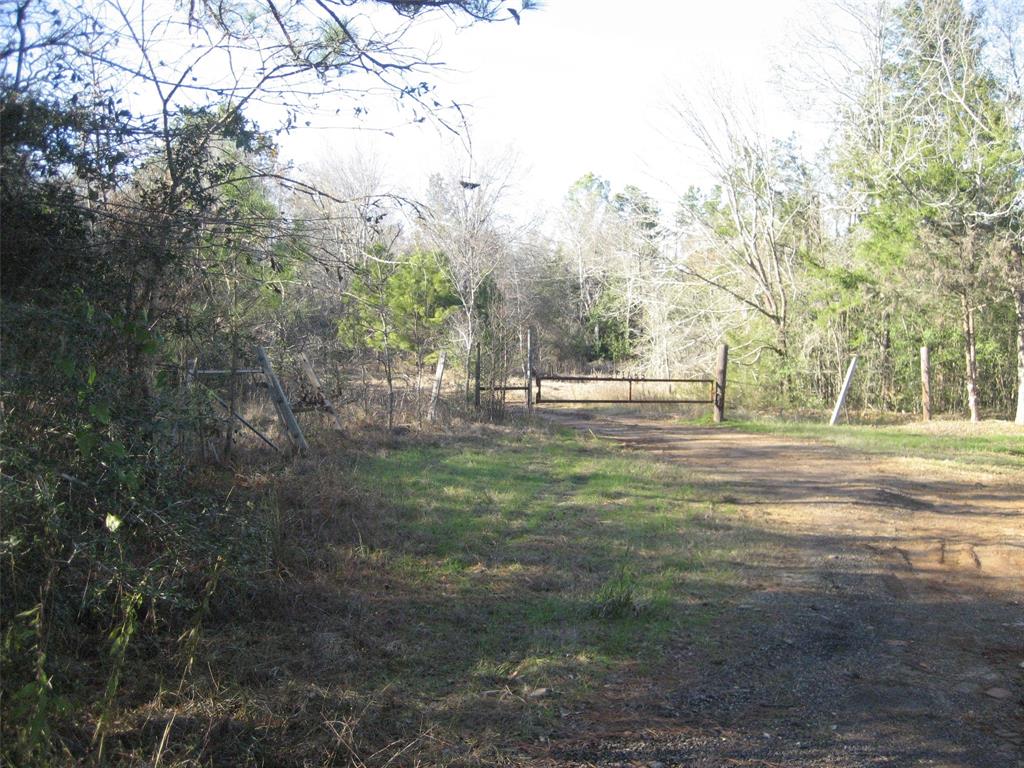 78.982 ACRE WOODED TRACT NEAR THE TRINITY RIVER. PROPERTY HAS SOME LEVEL GROUND, THEN SLOPES OFF INTO THE RIVER BOTTOM. SHOULD BE EXCELLENT HUNTING BOTH DEER, HOGS AND DUCKS. ELECTRICITY ON THE PROPERTY, BUT WATER SHOULD BE VERIFIED. PLEASE SEE ADDITIONAL TAX ID FOR TOTAL ACREAGE.