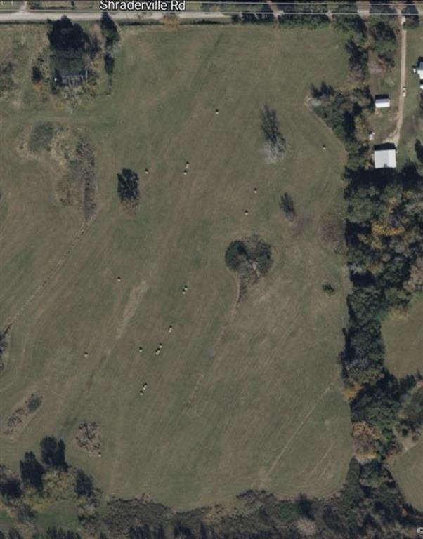 Introducing this Native pasture located in Shephard, Tx that sits on 20 acres that is completely cleared. Wildlife lovers, this could be your happy place in opportunity zone. Perfect for cattle, horses, and bailing hay. There is such open and beautiful sky that is ready for the next journey for a new owner!