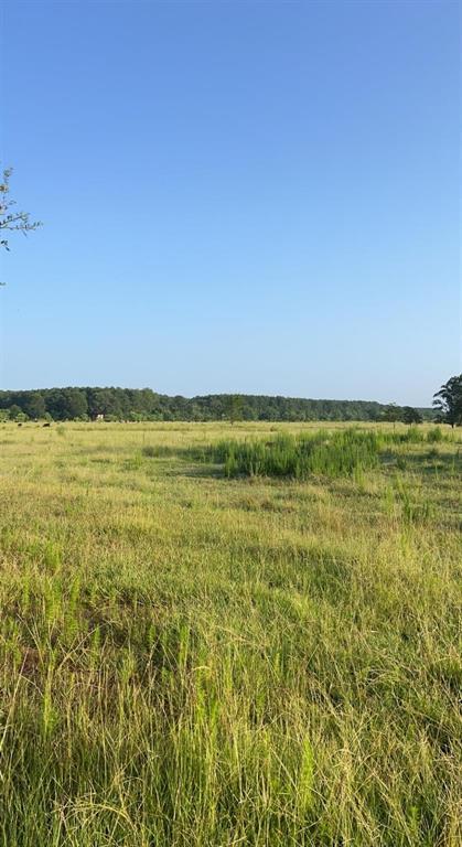 12+/- Deed Restricted acres located in Tarkington ISD a short distance from the schools. This property is located on a quite county road and has community water available for hookup. Restrictions include building a site built house. Additional property available.