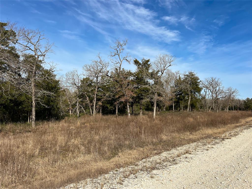 Looking for a rural small acreage tract? This new listing is 5 acres located in the gated Timbercrest Ranch subdivision just off Highway 7 between Centerville and Marquez. This is a premium location on a cul-de-sac. It has ample road frontage and an ideal slope into a wet weather creek on the back right side of the property. Perfect for creating a small pond! We can easily envision a beautiful homesite beneath the hardwoods overlooking the water. Conveniently located between Dallas and Houston, tax exemption in place, and utilities available!