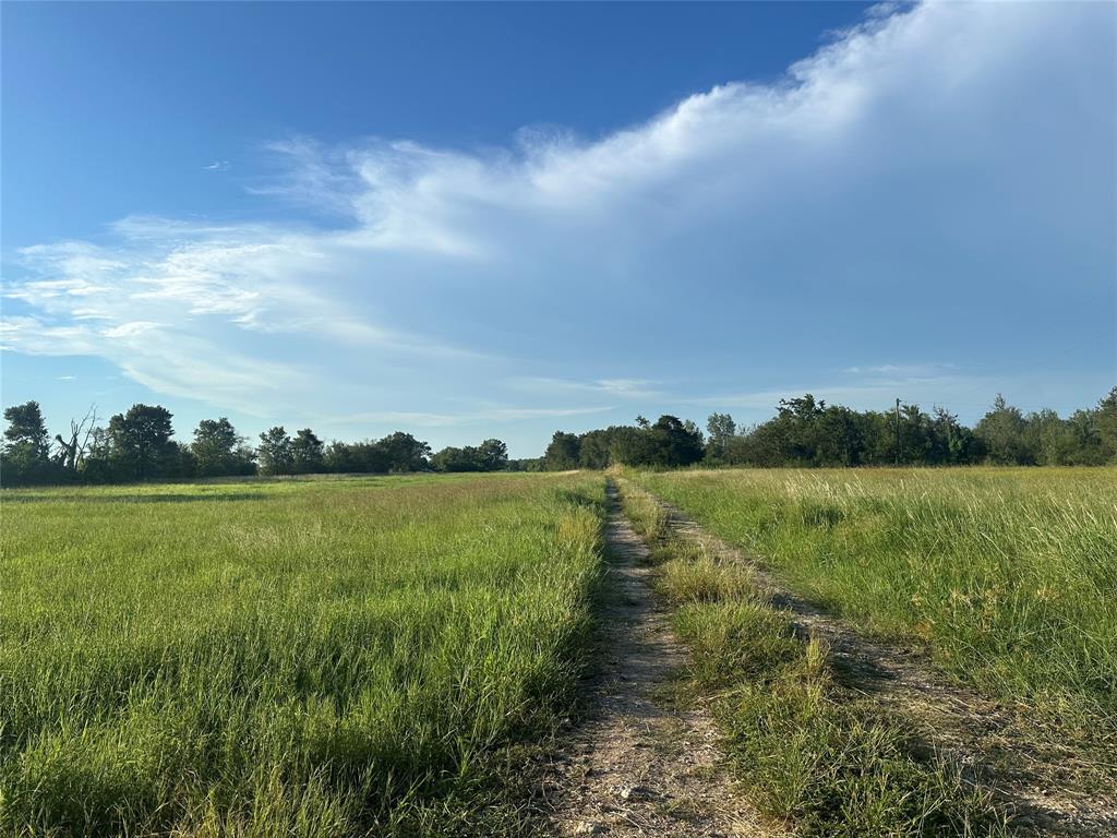 Tract 1 | 2.52 ACRES in Wallis,TX with easy access to major highways - HWY36, I59S. No restrictions. Horses
allowed. Located 10-20 minutes from Fulshear, Brookshire, Rosenberg, Needville, Simonton & Beasley. Buyer to purchase new survey if needed. Second tract for sale as well for a total of 5.04 acres. MLS#60278615