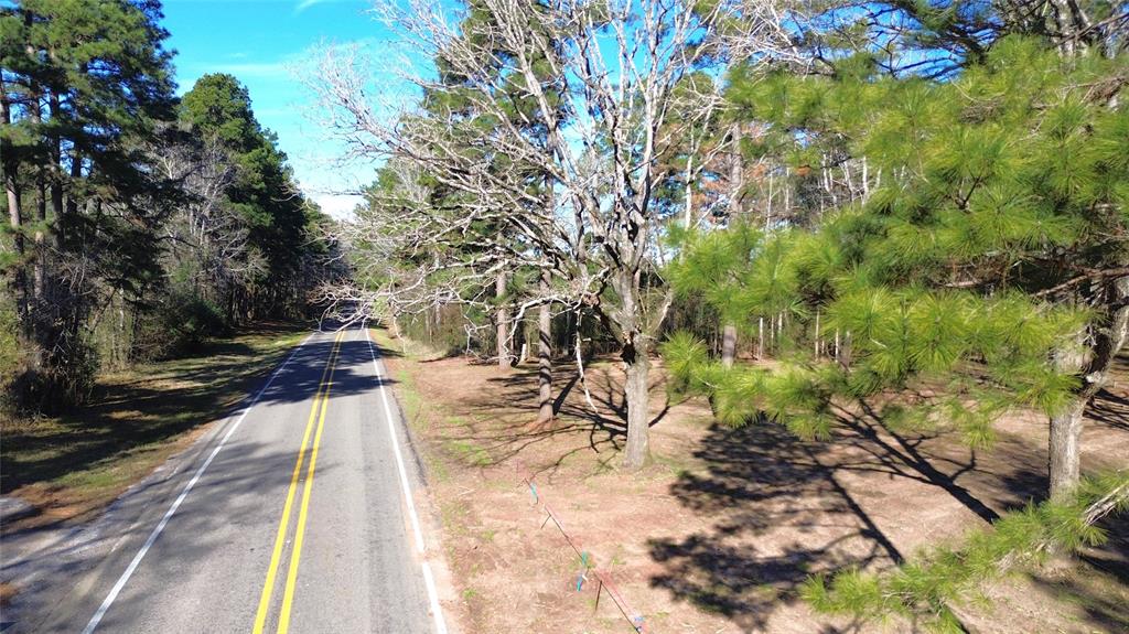 LOTS OF POTENTIAL! This 105.941-acre property offers versatile usage and would make a great investment for the avid hunter, developer, investor, or individual looking to build their future home. Fronted along FM 227 and bordered by CR 1172, this property would be a developer’s ideal layout to subdivide from its interior road. Numerous homesites and potential lake locations run throughout the pine-timbered land along its cleared road that has been widened and under brushed. Prospective lake locations, both large and small, have been mapped to visualize the true potential of this property. Also, various elevation changes provide for a diverse landscape of small creeks that travel through the forest. This property has an abundance of planted pine and would be a sanctuary for wild game, due to its proximity to the Davy Crockett National Forest. All utilities are available on the highway frontage. Give us a call today and we’d be happy to show you this beautiful property.