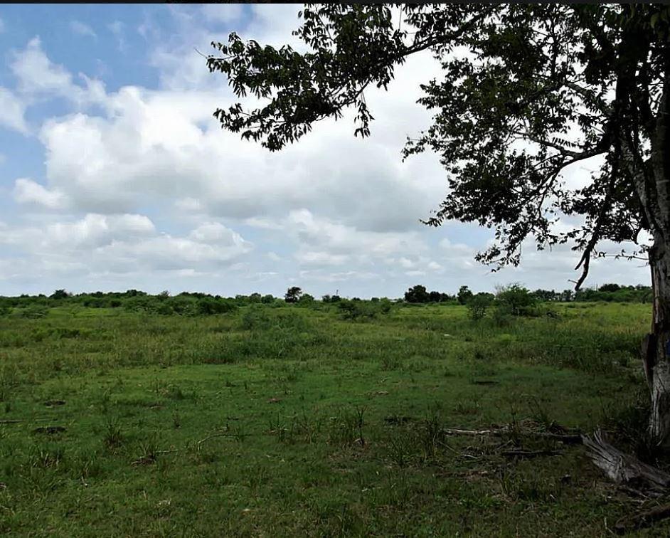 This 7-acre property can be purchased as 6,7 or 14 acres. 5 miles outside Sealy, offers a prime opportunity for a homestead, ranchette, or investment. Located outside the Sealy ETJ, you’ll enjoy freedom from city restrictions, with growth potential near the Walmart DC. Abundant wildlife, including deer tracks, antler rubs, and game trails, makes it perfect for nature lovers or hunters. With no HOA and minimal restrictions, this property is a blank slate—customize your setup with gates, electricity, and wells. The ag exemption is in place, making it ideal for residential, farming, or recreational use. You can maintain the exemption on the 7-acre tracts with bees. 185 feet of road frontage, there are great spots for a pond, ideal for livestock or wildlife. Don't miss this opportunity to invest in a growing area. All measurements are approximate.