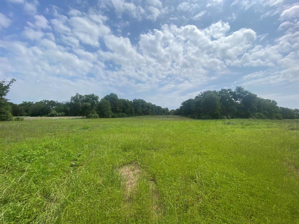 61.63 Acres of Woods, open fields, and an abundance of wildlife. This property has many possibilities with near a mile of road frontage. Just outside the town of Marquez on Highway 7 and County Rd 426. The property also has easy and fast access back to Centerville - I-45 for Houston, and FM 39 & HWY 79 for Bryan/College Station. Water and Electric at the roads. Mostly Fenced. Good mixture of open fields vs woods. Good hunting. Deer, pigs, and other small game are plentiful. Room to roam here! Ideal for your business/yard on Hwy 7, while using the County Road side for a quieter residence or recreational. Marquez is a small town located near Lake Limestone. This beautiful 12,000+ acre lake is known for excellent fishing, boating, water sports, and family fun. With many possibilities here, this property could be the one for you that checks all the boxes. Call or come check it out today!