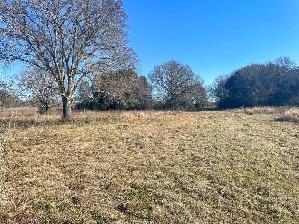 Unrestricted, mostly flat 5-acre tract about 1 hour from Katy & 1 hour and 20 minutes from San Antonio. Access by private road (to be built) Fenced. Seller selling AS-IS. There are scattered trees. Make it what you want.