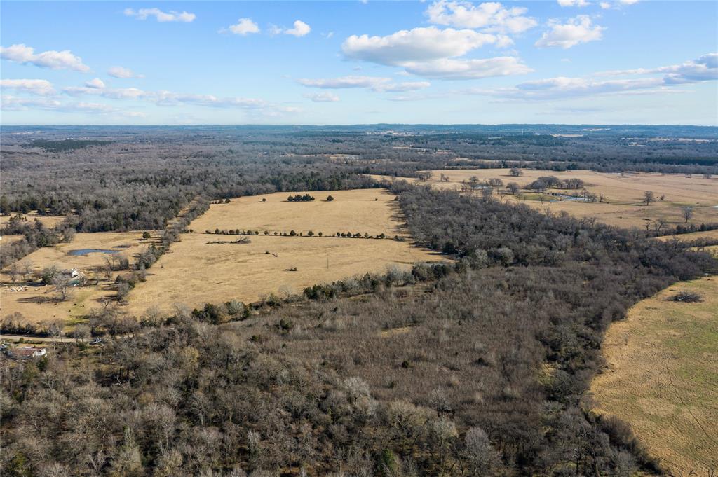 Don't miss out on this incredible 73 acre sanctuary in Palestine, Texas! Ideal for cattle and livestock with premium pastureland, this serene country property is a true gem. Conveniently situated for easy access to Houston and Dallas, it offers the perfect blend of tranquility and convenience.