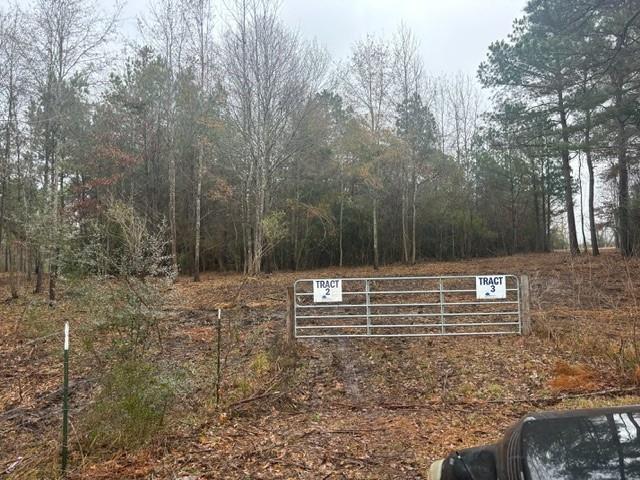 Heavy thicket, Virtually untouched 10+ ac about 3 miles from 59/69 in Leggett. Pond for wildlife. Seller to fence tract and provide survey. power along the road. Enjoy nearby lake Livingston and all it's amenities. Hour and half to Houston. Part of 67452.