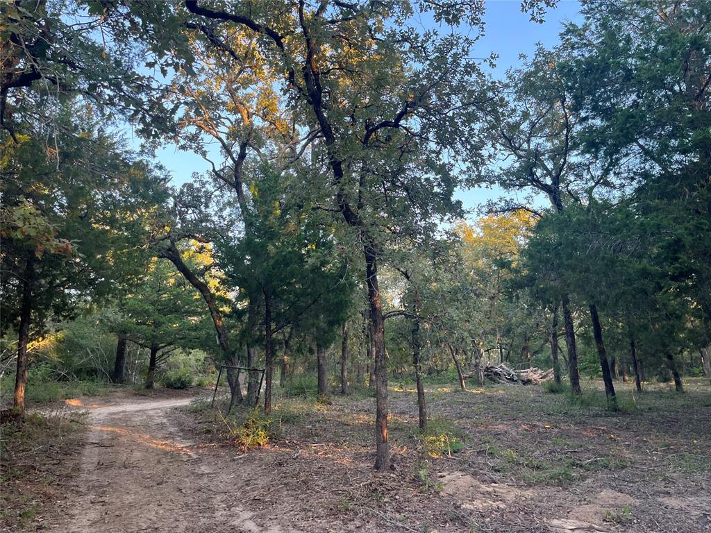 Lovely 5 acres with a great assortment of trees perfect for camping or any ourdoor activity that your family enjoys
Yes there are lights but no water yet! Great place to build your weekend get away!!