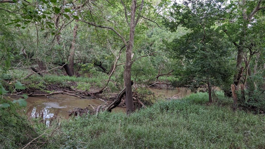 Discover the potential of this 16.862-acre tract located along the I-69 North frontage road near FM 1161 in Hungerford, TX 77448. This expansive property features open land gently sloping towards the picturesque West Bernard Creek, offering a blend of natural beauty and strategic positioning.

Although situated primarily in FEMA Flood Zone A, this land presents a unique opportunity as it lies within a designated OPPORTUNITY ZONE, making it an attractive option for investors and developers. Whether you're looking for commercial, agricultural, or recreational use, this property provides endless possibilities.