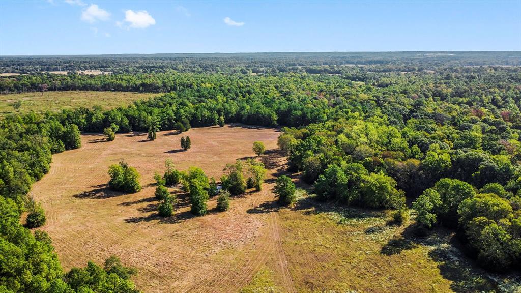 166+/- acres in Willis, Texas.  Mix of hardwood trees and pine trees, some open pastures and a pond cover this piece of property.  Location and size of property would make this property a possibility of developing this property into a neighborhood.   Lots of growth in the Willis area!!