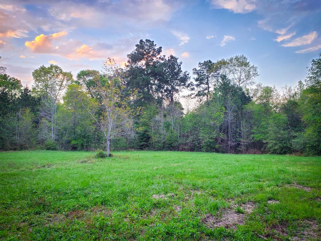 If you’ve been looking for a great recreational tract under an hour from Houston, less than a mile off of the Grand Parkway, perfect for outdoor recreation, riding atvs and perhaps building a cabin or campsite for weekend visits, then you need to check this one out! Community water is available at the blacktop road at the front of the property. Power had been established at one point around the shed and overhead storage area making it an excellent location for a potential camp site. From here you can drop down further into the woods and ride trails, explore Peach Creek that makes up the property's eastern border. The wooded property is tucked away toward the back of an established community with more development all around with the expansion of the Houston area suburbs. This really would make a great weekend getaway, recreation, or investment tract with its proximity to Houston and the Grand Parkway so call today to set up your own showing!