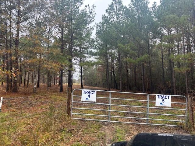 Heavy thicket, Virtually untouched 10+ ac about 3 miles from 59/69 in Leggett. Seller to fence tract and provide survey. power along the road. Private road to be built between Tr 4 and 5. This will be the entrance for TR 4 and 5. Enjoy nearby lake Livingston and all it's amenities. Hour and half to Houston. Sign on gate. Seller has never been in the house, does not know its condition. Selling As-Is. Seller will make no repairs. Enter house at your own risk.