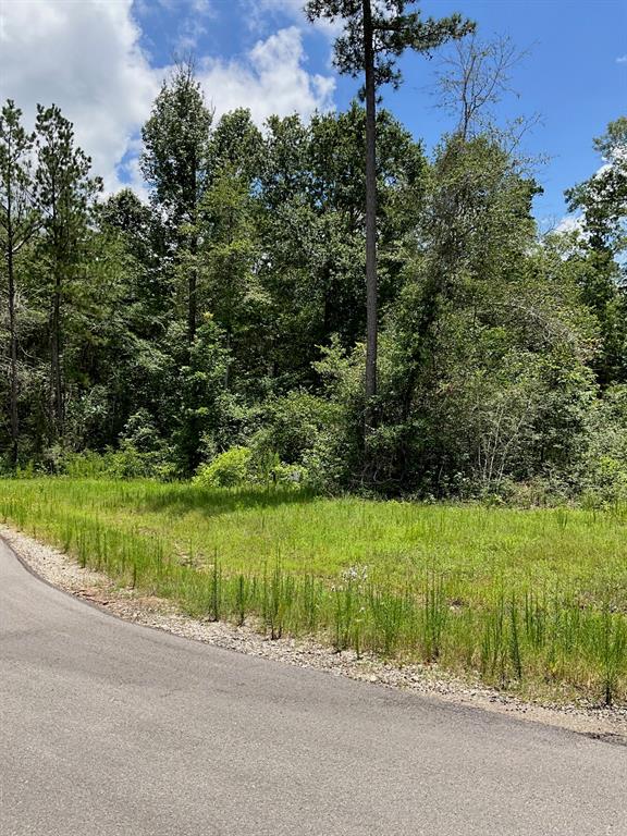Number 1 for listing