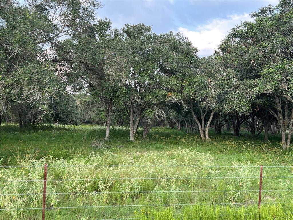 639.748 +/- fenced acres currently in pasture with scattered and clusters of mature oak trees. Mustang Creek Frontage.  Located North West of El Campo in the Pin Oak area this property is ready for your cattle operation, farming operation, horses and or new ranch house. This is an amazing property in a great location with creek frontage, towering oak trees, fenced, cross fenced, working cattle pens, holding pens, barn, air strip and all weather roads throughout. Several entrances into the property makes for easy access to multiple ventures. Domestic well and solar wells for cattle. Well maintained bridges to cross creek to access both sides easily. Properties like this do not come along very often and now is your chance to expand your operation.