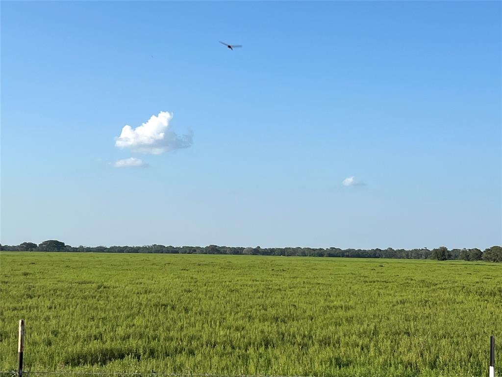 Currently in pasture, previously farmed in Rice this 253.4 +/- acres is perfect for your farming or ranching venture. Located in the Pin Oak Area there is also an abundance of wildlife.  Rice Base Included.