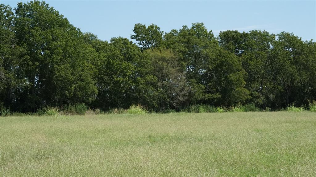 CO-OP WATER & ELECTRICITY! 13.16 Ag Exempt acres north of Caldwell in the Chriesman community. Hard top road frontage. Jiggs grass planted giving you great opportunity for hay production or forage for your animals. Ready to build your dream home!! Located close to HWY 36, within minutes from Caldwell, and close proximity to Austin, Bastrop, Round Rock and Rockdale areas. Zoned for Caldwell ISD.