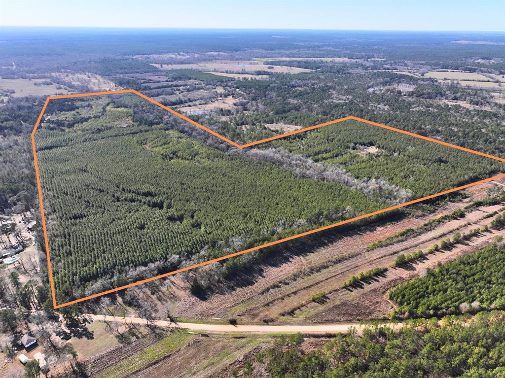 Rare offering! 163 acres just South of Oakhurst with National Forest surrounding the nearby area. Located on Kittrell Road off of FM 3018, this property has easy access from Hwy 190 and FM 946. Mostly paved with a short drive down Kittrell that is gravel/dirt and County maintained. This property was mostly planted in loblolly pine in 2012. Currently 13 year old trees provide excellent shade cover, buffer from neighbors, and great hunting environment. Scattered hardwoods throughout the property provide diversity and attract wildlife! Trails are abundant for hiking and touring around on a buggy with easy access to several hunting spots. This property is diverse and provides a unique opportunity to own land where very few properties ever become available!