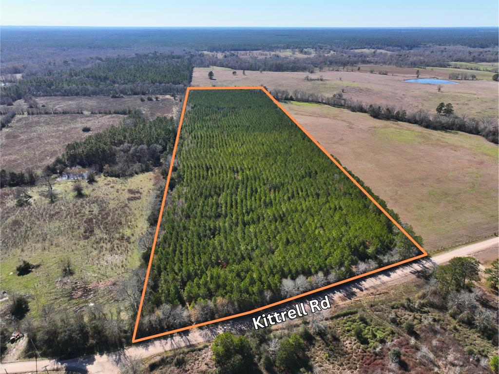 Rare offering! 30 acres just South of Oakhurst with National Forest surrounding the nearby area. Located on Kittrell Road off of FM 3018, this property has easy access from Hwy 190 and FM 946. Mostly paved with a short drive down Kittrell that is gravel/dirt and County maintained. This property was planted in loblolly pine in 2012. Currently 13 year old trees provide excellent shade cover, buffer from neighbors, and great hunting environment. Electricity is available along Kittrell Road, easily available to pull onto the property for weekend cabin or permanent homestead. The topography gently slopes from the road to the back of the property providing excellent drainage during the rainy season. A wet weather creek crosses the property in the back, attracting wildlife and large hardwoods. Attractive size and shape, and in an unique area perfect for country living. Ready to develop to your desire!