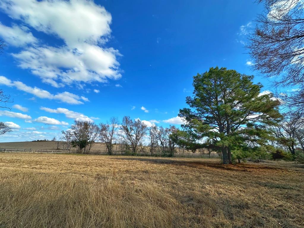 12-Acre Homesite in Leona, TX – Ready for Your Dream Home
Nestled in the serene countryside of Leona, Texas, this 12-acre property in Leon County offers the perfect canvas for your future home. The land is already prepared with a large, level house pad, and all essential utilities are in place, including water from a deep well, electricity, and septic system.
In addition to the ready-to-build site, you’ll find a newly constructed 1,000 square-foot concrete slab shop/covered area, ideal for storage, hobbies, or additional workspace.
The property boasts breathtaking, expansive views of the rolling landscape, providing the perfect backdrop for your dream home. Whether you’re looking to escape to the country or create your own private retreat, this tract of land offers endless potential in a peaceful, rural setting.