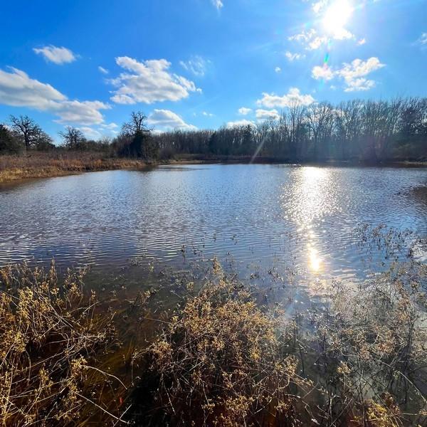 For Sale: 19.731 Acres of Prime Land
Discover this beautiful 19.731-acre property, featuring open rolling pastures with native grasses. The land is fully fenced with barbed wire and includes a serene 1-acre pond. With approximately 1,900 feet of frontage on County Road 233, this property offers easy access and convenience.
 
Utilities are readily available, with electric and telephone lines at the road. Community water is accessible from HWY 7 and can be extended to the southwest corner of the property. This versatile land is perfect for a home site or a small livestock operation, and it currently benefits from an agriculture exemption.
 
Located within the Centerville ISD, this property is an excellent opportunity for those seeking a peaceful and productive rural lifestyle. Don't miss out on this exceptional piece of land!