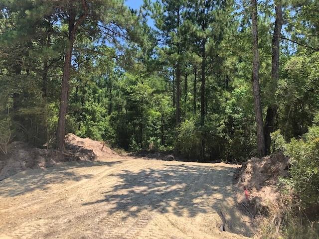 Looking to build your dream home in the quite countryside? Look no further. Beautiful 10 acre secluded land ideal for weekend getaways or to build your ranch resort. Wildlife, plenty of trees, and peaceful surroundings. 
Call me to get more information on this beautiful property.